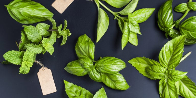 Bylinky na posílení imunity a detox