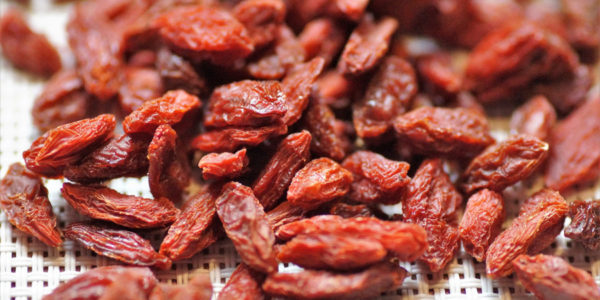 Goji - plody kustovnice čínské
